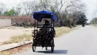 En la comunidad varias familias prefieren usar leña por el alto precio que tiene el gas