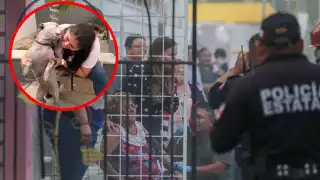 Rescatan a perrita tras incendio en Mérida; alcaldesa Cecilia Patrón supervisa atención