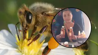 Los frascos grandes se venden a 50 pesos