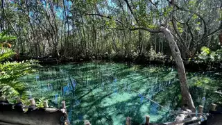 En los primeros meses del año en curso han acudido al sitio un total de 57 mil 883 personas