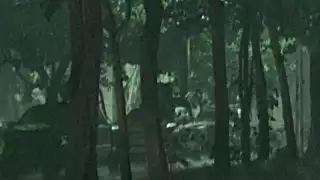 Andrés Manuel López Obrador arribará en unos minutos más a Chetumal