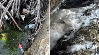 ¡Aguas negras y olores insoportables! Exigen sanear el Bulevar Bahía de Chetumal antes de ampliarlo