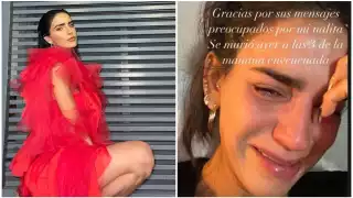 En agosto de este año, Bárbara de Regil anunció la llegada de un integrante más a su familia