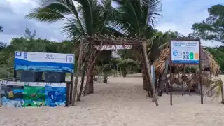 Únicamente acudieron aquellos que llevan a sus perros.