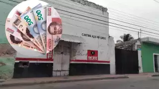 Durante estos días fueron dos los casos registrados con estos ejemplares chafas que continúan circulando en la localidad