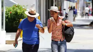 Los lugares de origen son variados: Tabasco, Veracruz, Ciudad de México y Estado de México, entre los estados con mayor presencia. 
