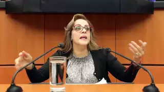 Yolanda de la Torre pide licencia como diputada tras impulsar reforma de las Fuerzas Armadas