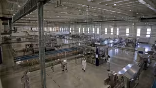 Nestlé anuncia nueva inversión de mil millones de dólares en México, revela Sheinbaum