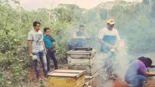 Existe temor entre los productores de la región porque la cercanía con el municipio de Escárcega