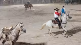 Caballo queda con las vísceras expuestas durante torneo de lazo en Sucilá