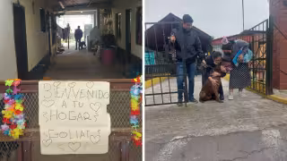 Goliat estuvo a punto de ser sacrificado