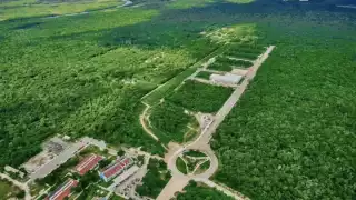 Los locatarios del Tianguis del Bienestar de Chetumal estarán exentos del impuesto que genera la importación