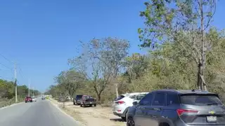 Fiscalía ignora invasión de terrenos y tala de árboles en Playa del Carmen