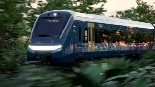 El medio de transporte ferroviario ofrecerá tres servicios, los cuales son: tren de pasajeros, tren turístico y tren de carga