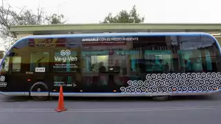   IE-TRAM en Mérida: Horarios en Semana Santa de las rutas que se conectan al Tren Maya  