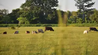 El Gobierno Federal tuvo que intervenir para brindar apoyos a los hombres del campo