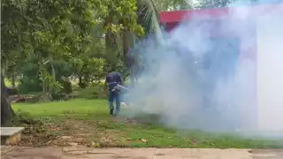 Además de la nebulización, se retiraron todos los objetos que puedan acumular agua.