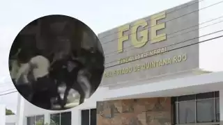 Autoridades ya buscan identificar a los agresores del video