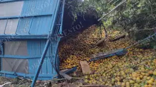 El chofer salió ileso y se retiró del lugar para solicitar ayuda