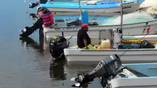 En Campeche, Semar retuvo tres mil kilogramos de especies marinas ilegales en 2023