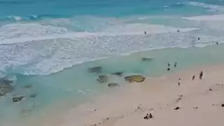 Una de las playas de Cancún se logró captar lo que parece ser un tiburón nadando en la orilla