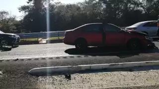 Los vecinos siempre ven al animalito deambulando por ahí