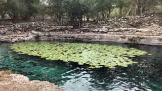 ¿Qué pasó en el cenote de Dzibilchaltún y por qué ya no puedes nadar?