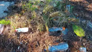 La habitante señaló que el nivel del mar sube varios metros para jalar lo que esté a su paso como los residuos