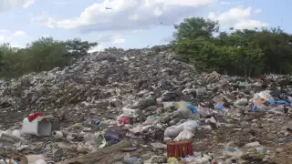 También ingresan varios automóviles particulares al relleno sanitario que llevan por cuenta propia sus desechos