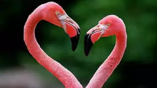 Ambas playas son una buena opción para visitar, es cuestión de gustos para visitar las maravillas