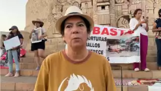 Animalistas retan a Renán Barrera Concha a darles la cara