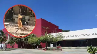 En la vivienda es recurrente el maltrato; había dos canes más en condiciones deplorables. La marcha saldrá del Museo de la Cultura Maya