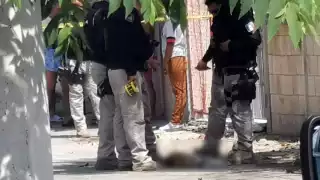 Matan a un perrito de un balazo en Ciudad del Carmen, Campeche