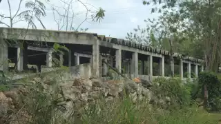 Megagranjas de Kekén dañan la calidad del agua para Mérida