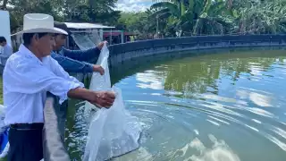 Apicultores son reconocidos mediante apoyo