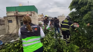 Lluvias colapsan la CDMX: inundaciones, árboles caídos y caos vial, a tres días del Mundial 2026