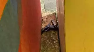 Se presume que quien la portaba intentó evadir a la justicia; le realizarán pruebas de balística .