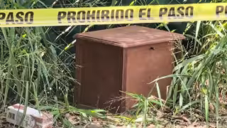 Hallan una urna con cenizas en un terreno de Cholul