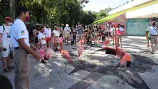 Entrar a un parque temático en Cancún cuesta 10 veces más que entrar a Disney