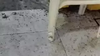 Los locatarios temen a que los visitantes no acudan al mercado municipal por las condiciones en que se encuentra