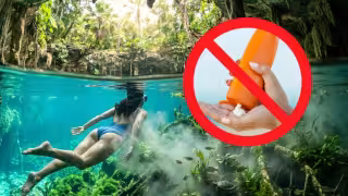 Por esta razón no se debe usar protector solar al visitar un cenote en Yucatán