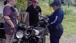 Los amantes de lo ajeno, dijo la mujer,  cortaron la malla protector de la ventana