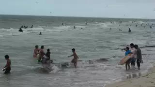 Durante las primeras horas de la mañana, los rayos del sol impactaron la costa y no se avistaba una jornada con cielo nublado