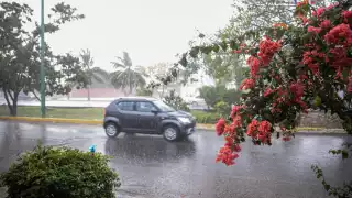 Las altas temperaturas y las lluvias persistirán todo el fin de semana