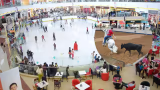 Las bromas sobre la pista de hielo en redes sociales no se hicieron esperar