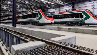 Así luce el nuevo tren. Foto: Especial