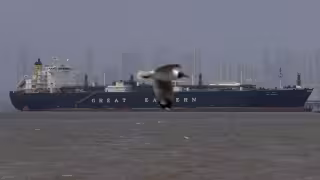 Claudia Sheinbaum celebra alto al fuego entre EU e Irán: destaca baja en precios del petróleo