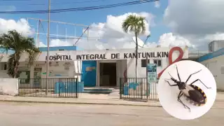 Reportan tres casos sospechosos del mal de chagas en Kantunilkín
