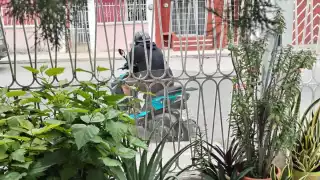 El hombre argumentó que solamente hacía su trabajo de tomar fotos a las casas
