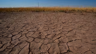 Ola de calor en Estados Unidos amenaza con romper récords: temperaturas superarían los 43°C